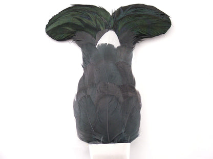 Blackcock Feather Plume