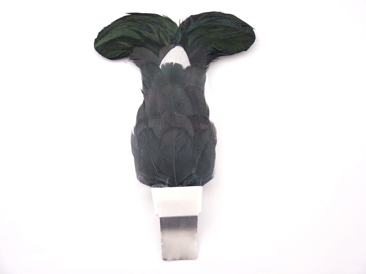 Blackcock Feather Plume