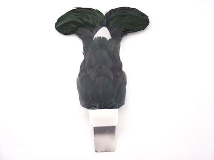 Blackcock Feather Plume