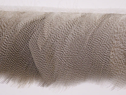 Mallard Duck Flank Fringe per metre