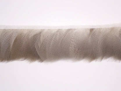 Mallard Duck Flank Fringe per metre