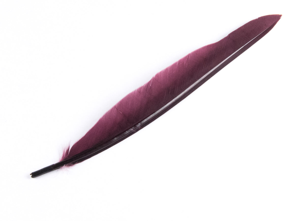 Duck Quill Feather Burgundy