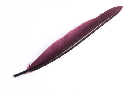 Duck Quill Feather Burgundy