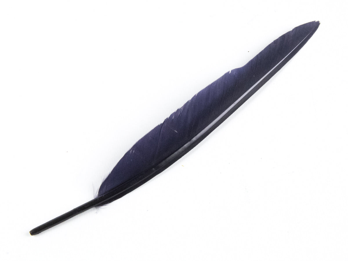 Duck Quill Feather Navy