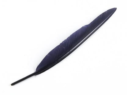 Duck Quill Feather Navy