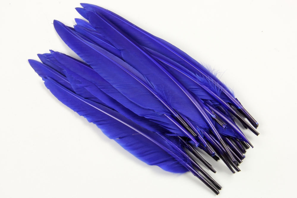 Duck Quill Feather Royal Blue