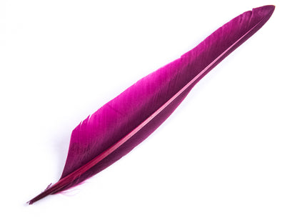 Duck Quill Feather Fuchsia