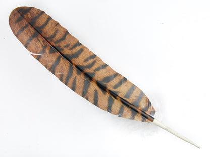 Decorative Printed Feathers Tiger