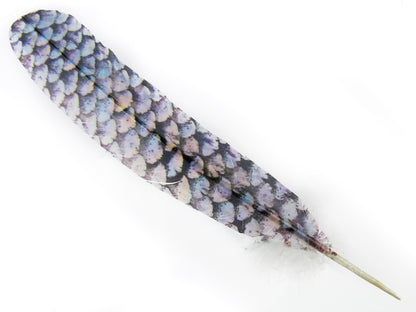 Decorative Printed Feathers Fish Scale