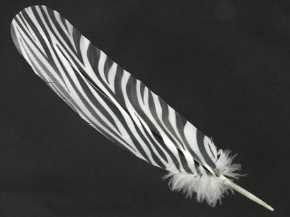 Decorative Printed Feathers Zebra