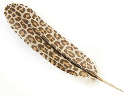 Decorative Printed Feathers Leopard