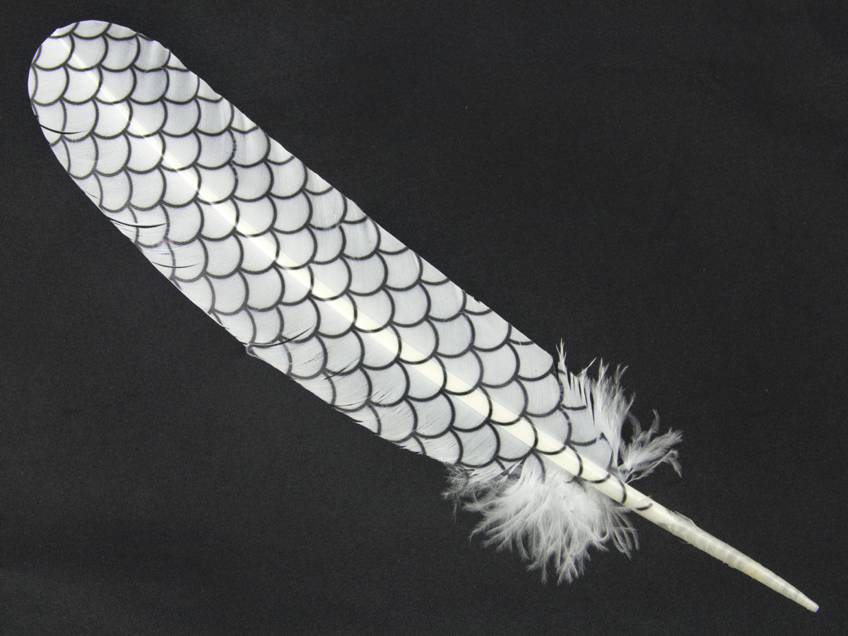 Decorative Printed Feathers Abstract Fish Scale