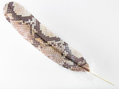 Decorative Printed Feathers Snakeskin Light
