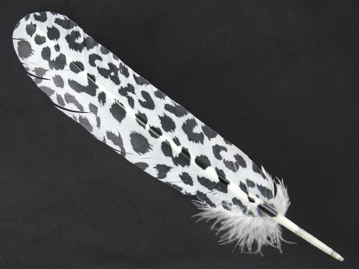 Decorative Printed Feathers Snow Leopard