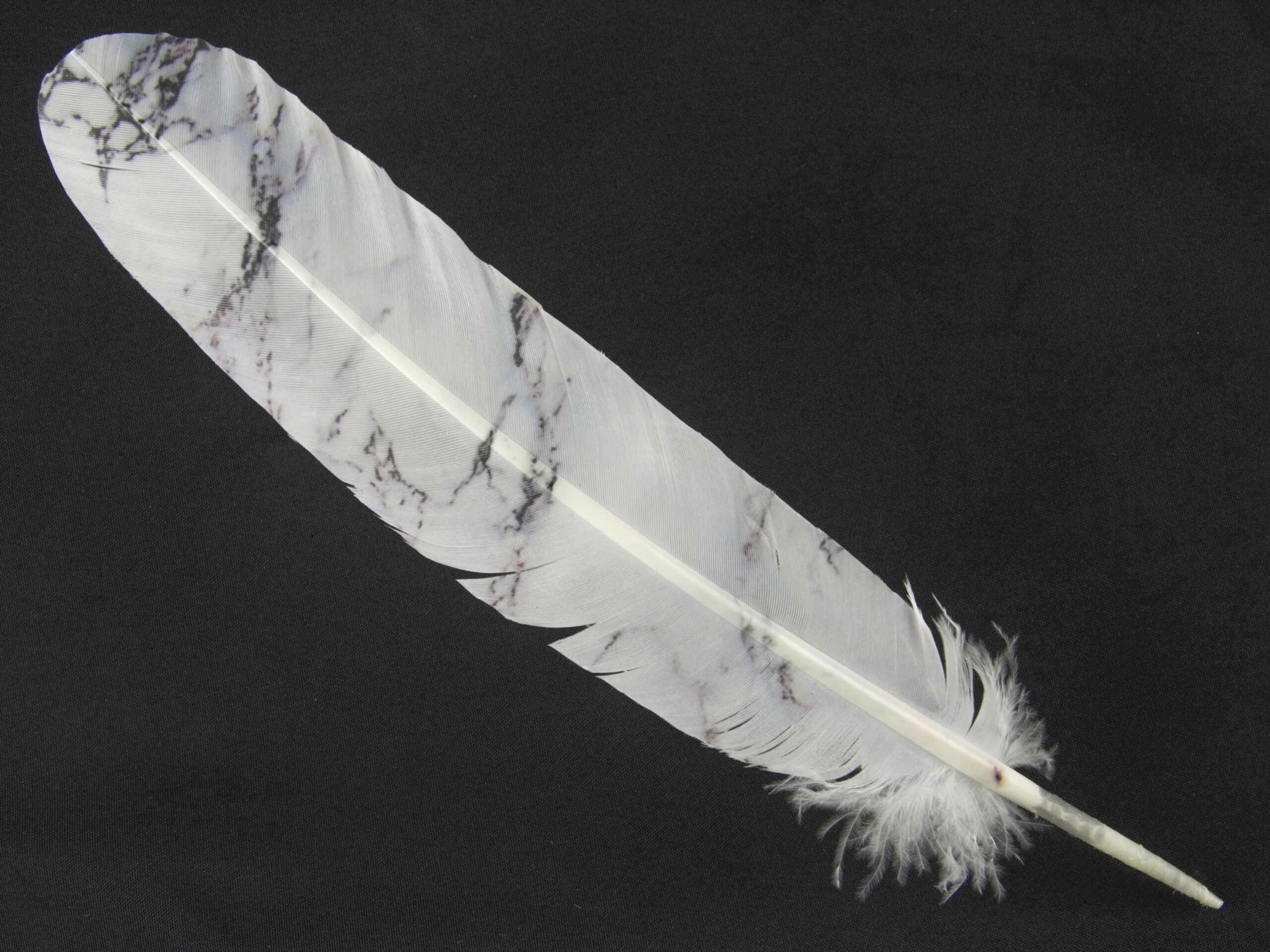 Decorative Printed Feathers Marble