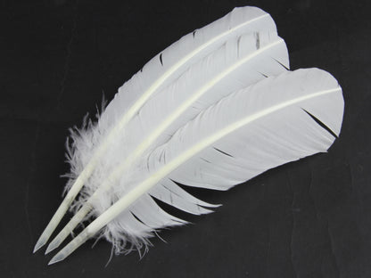 Museum Packs - Authentic Quill Pen - packs of 3