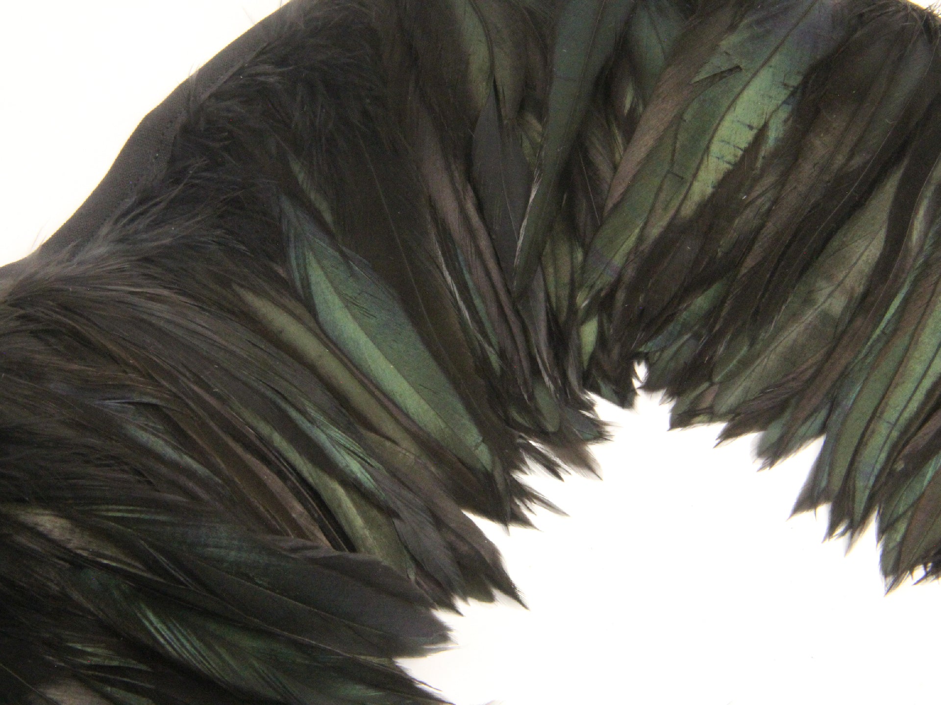 Bronze Black Schlappen Feather Fringe