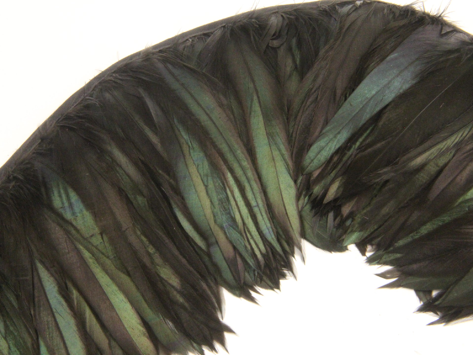 Bronze Black Schlappen Feather Fringe