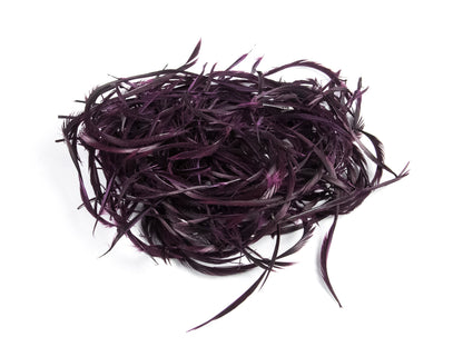 Bulk Goose Biot Feathers