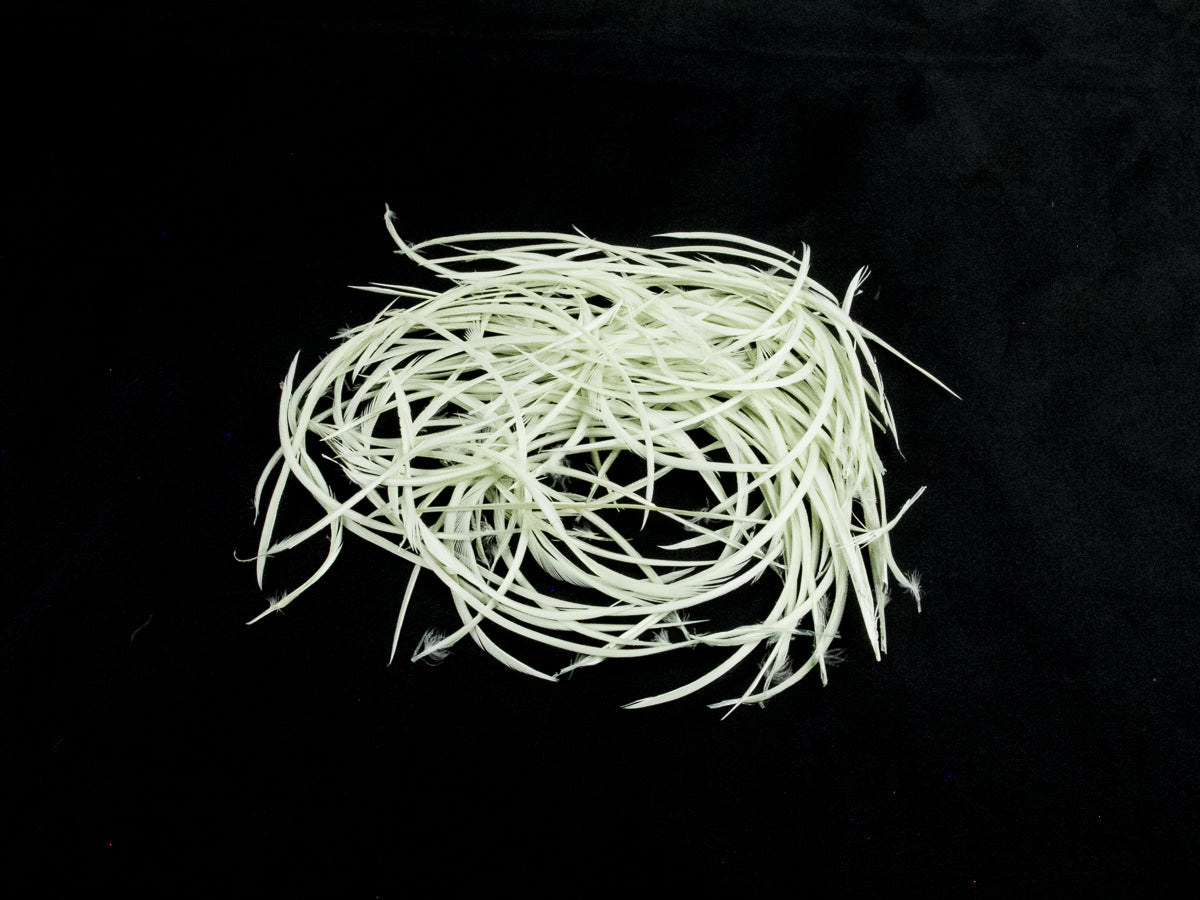 Bulk Goose Biot Feathers