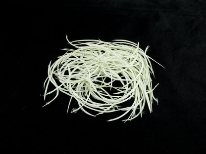 Bulk Goose Biot Feathers