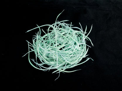 Bulk Goose Biot Feathers