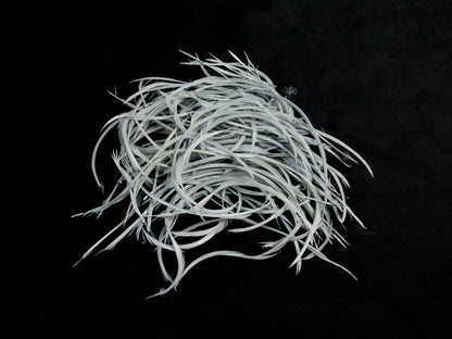 Bulk Goose Biot Feathers