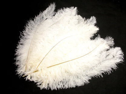 Ostrich Blondine Feather - Pack of 10
