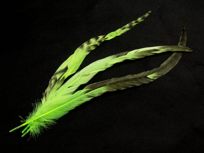 Long Chinchilla Coque Fringe - Dancewear colours