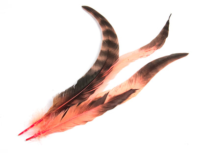 Long Chinchilla Coque Fringe - Dancewear colours