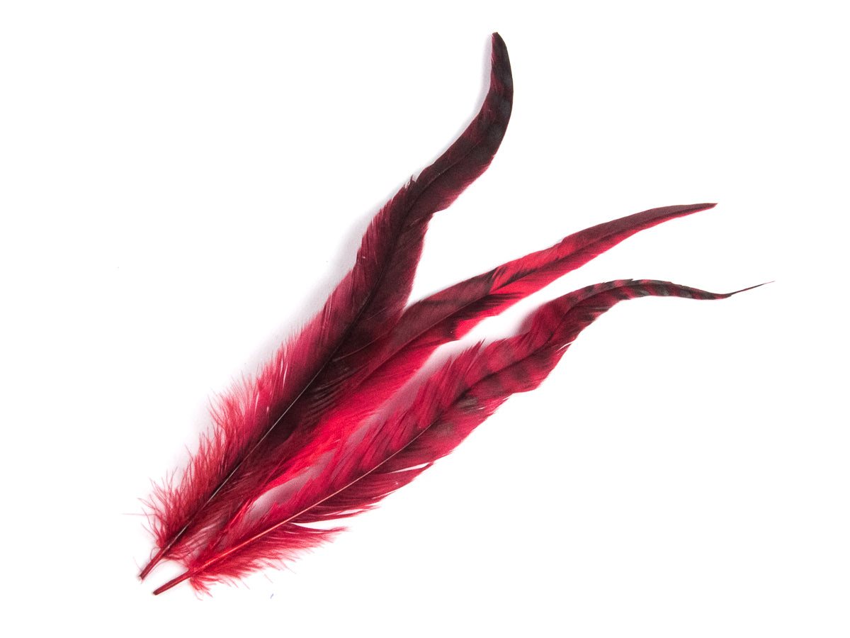 Long Chinchilla Coque Fringe - Dancewear colours