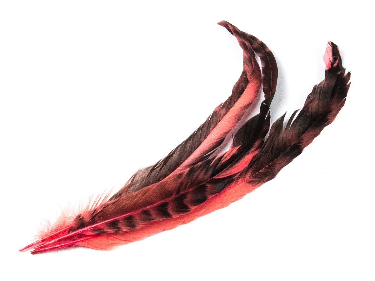 Long Chinchilla Coque Fringe - Dancewear colours