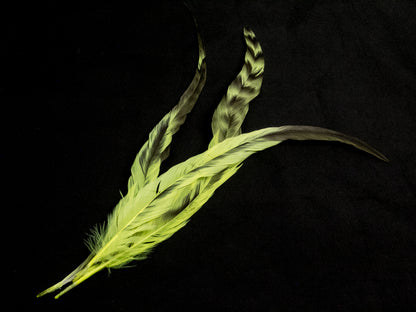 Long Chinchilla Coque Fringe - Dancewear colours