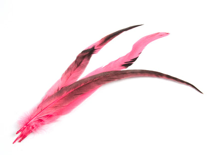 Long Chinchilla Coque Fringe - Dancewear colours