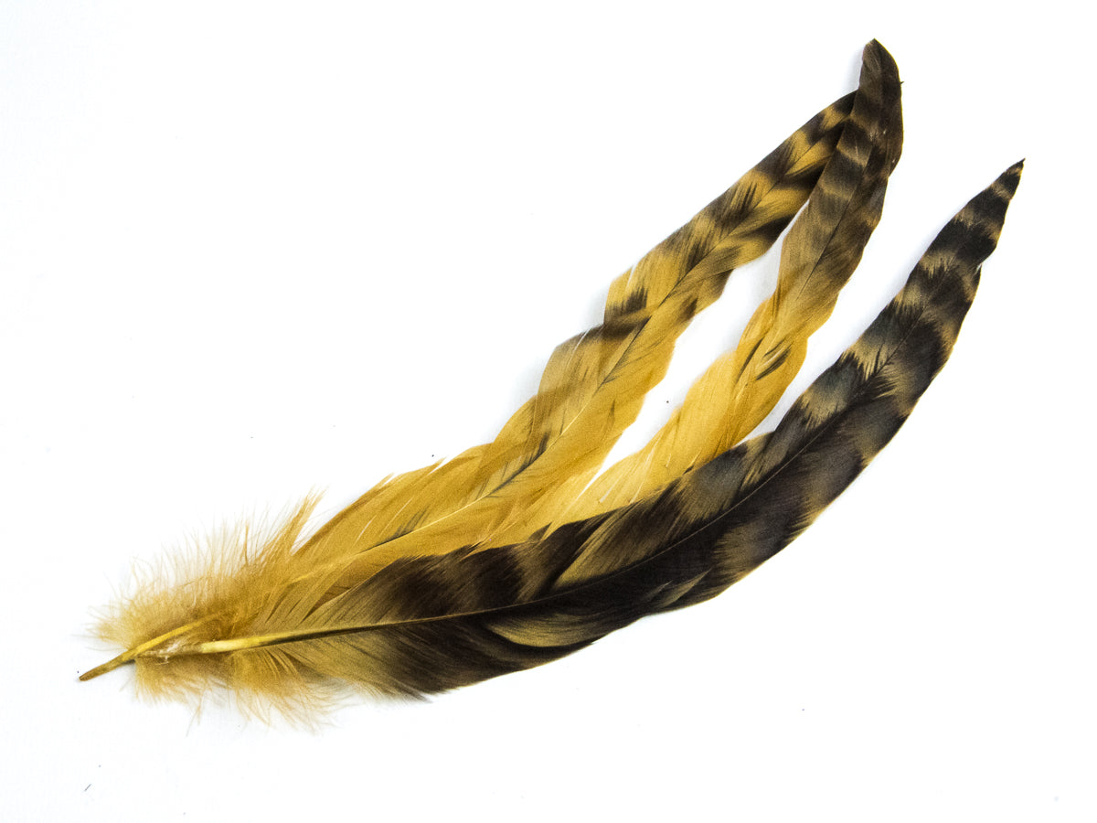 Long Chinchilla Coque Fringe - Dancewear colours