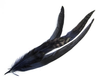 Long Chinchilla Coque Fringe - Dancewear colours