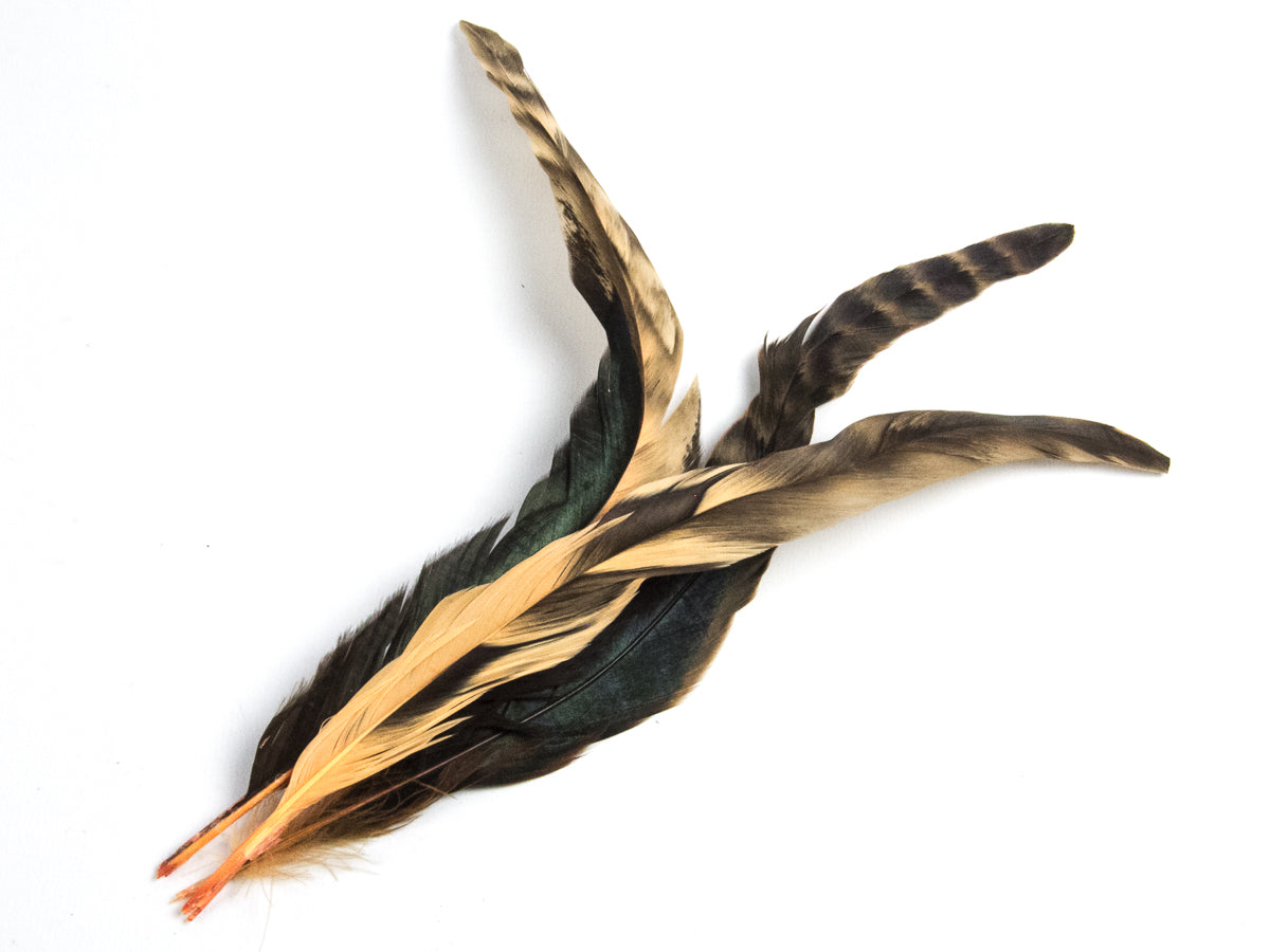 Long Chinchilla Coque Fringe - Dancewear colours