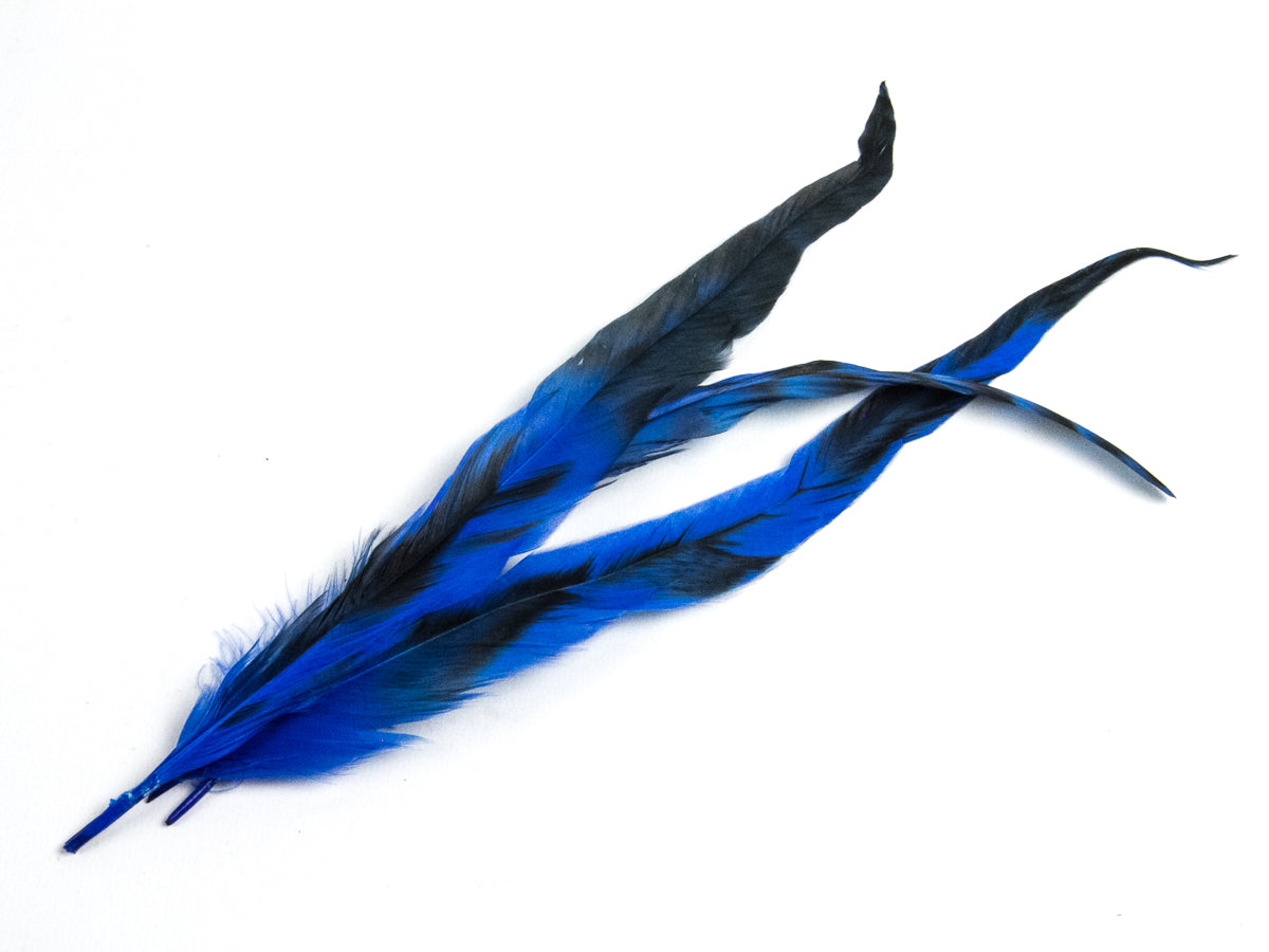 Long Chinchilla Coque Fringe - Dancewear colours