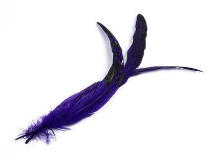 Long Chinchilla Coque Fringe - Dancewear colours