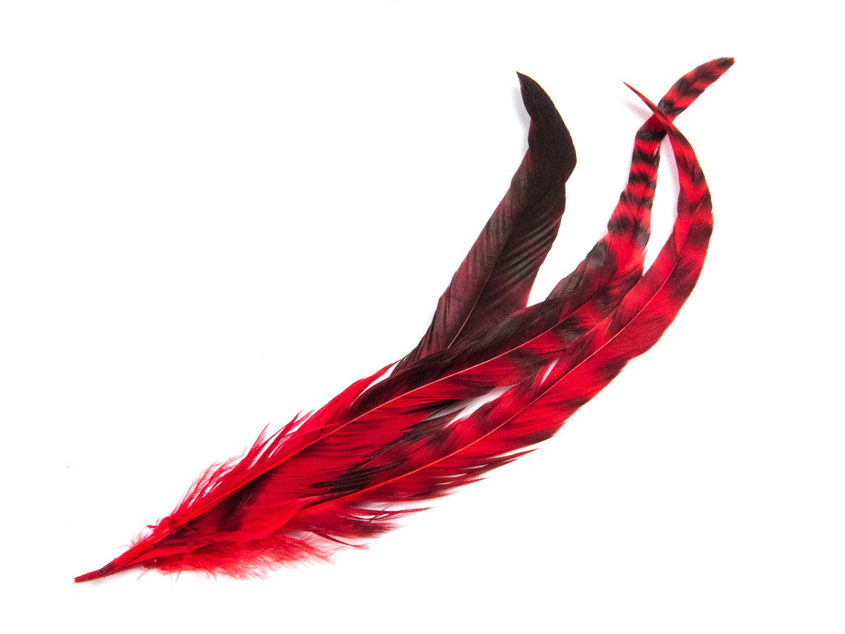 Long Chinchilla Coque Fringe - Dancewear colours