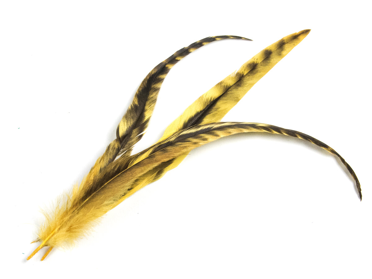 Long Chinchilla Coque Fringe - Dancewear colours