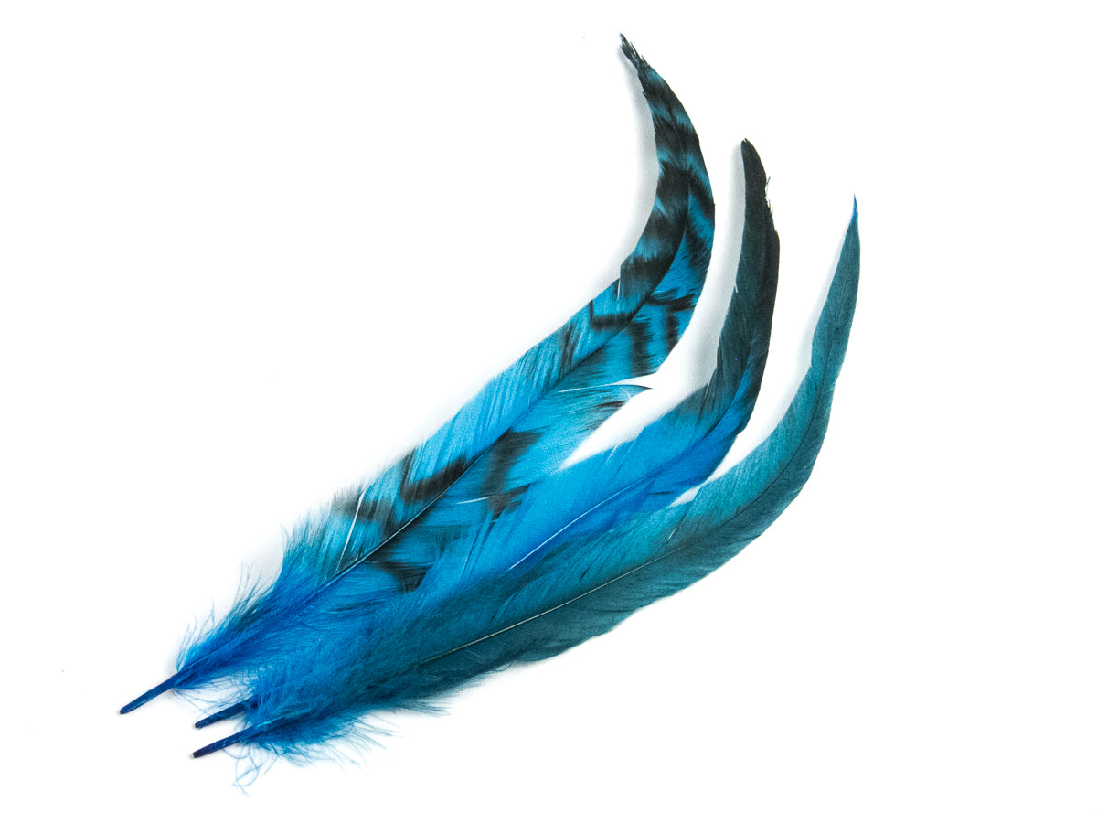 Long Chinchilla Coque Fringe - Dancewear colours