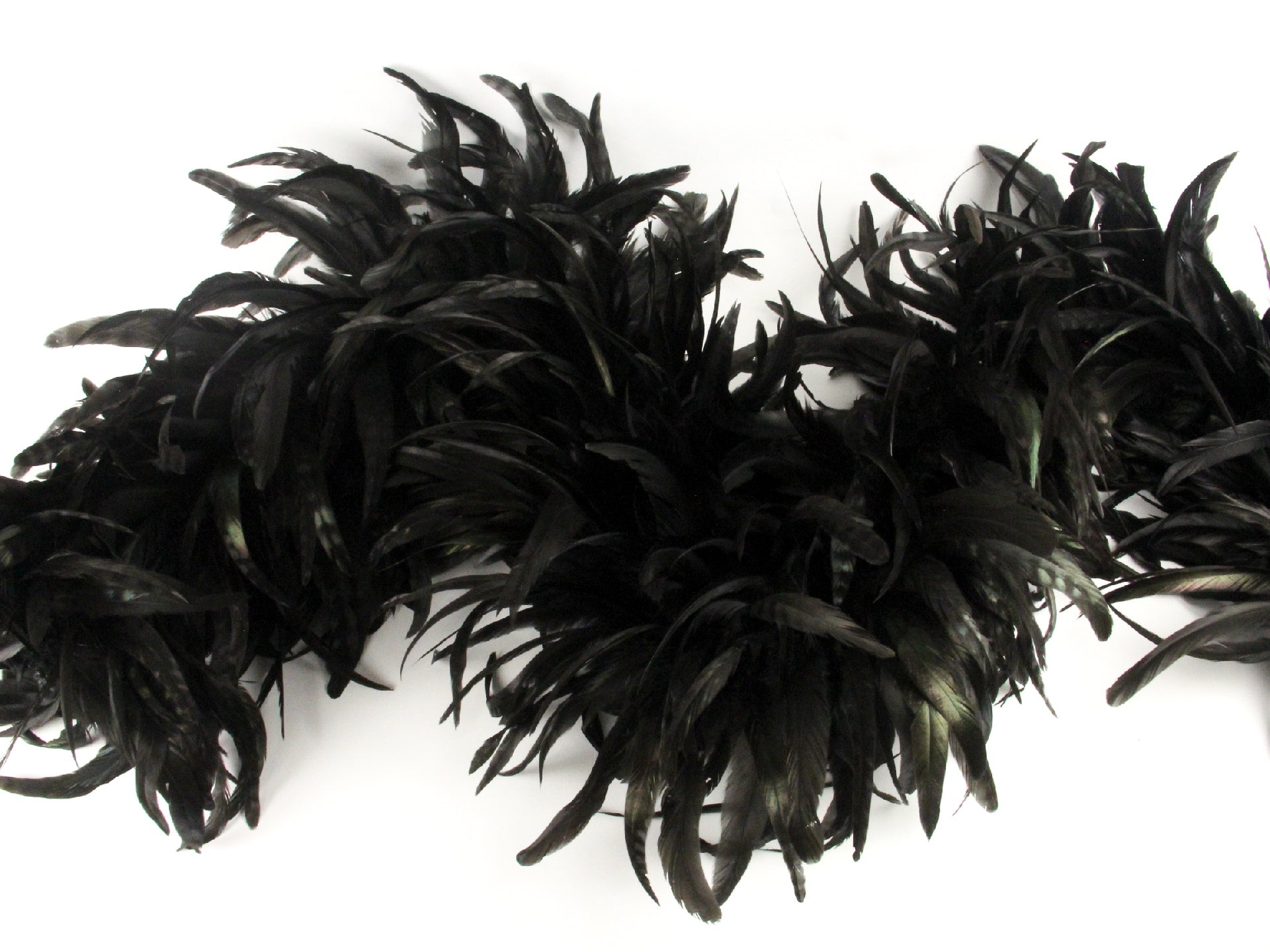 Chinchilla Coque Boa