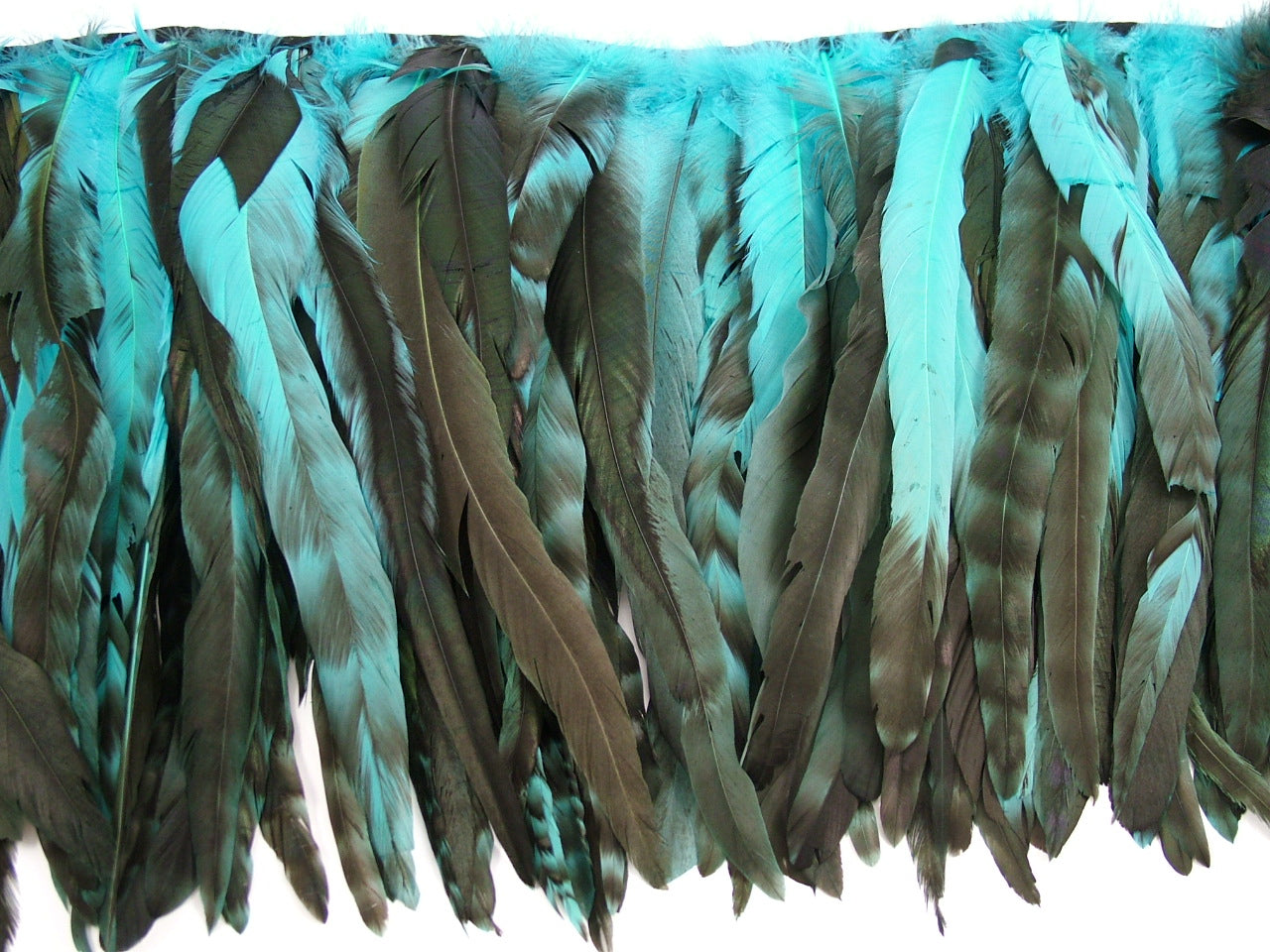 Long Chinchilla Coque Fringe - Dancewear colours