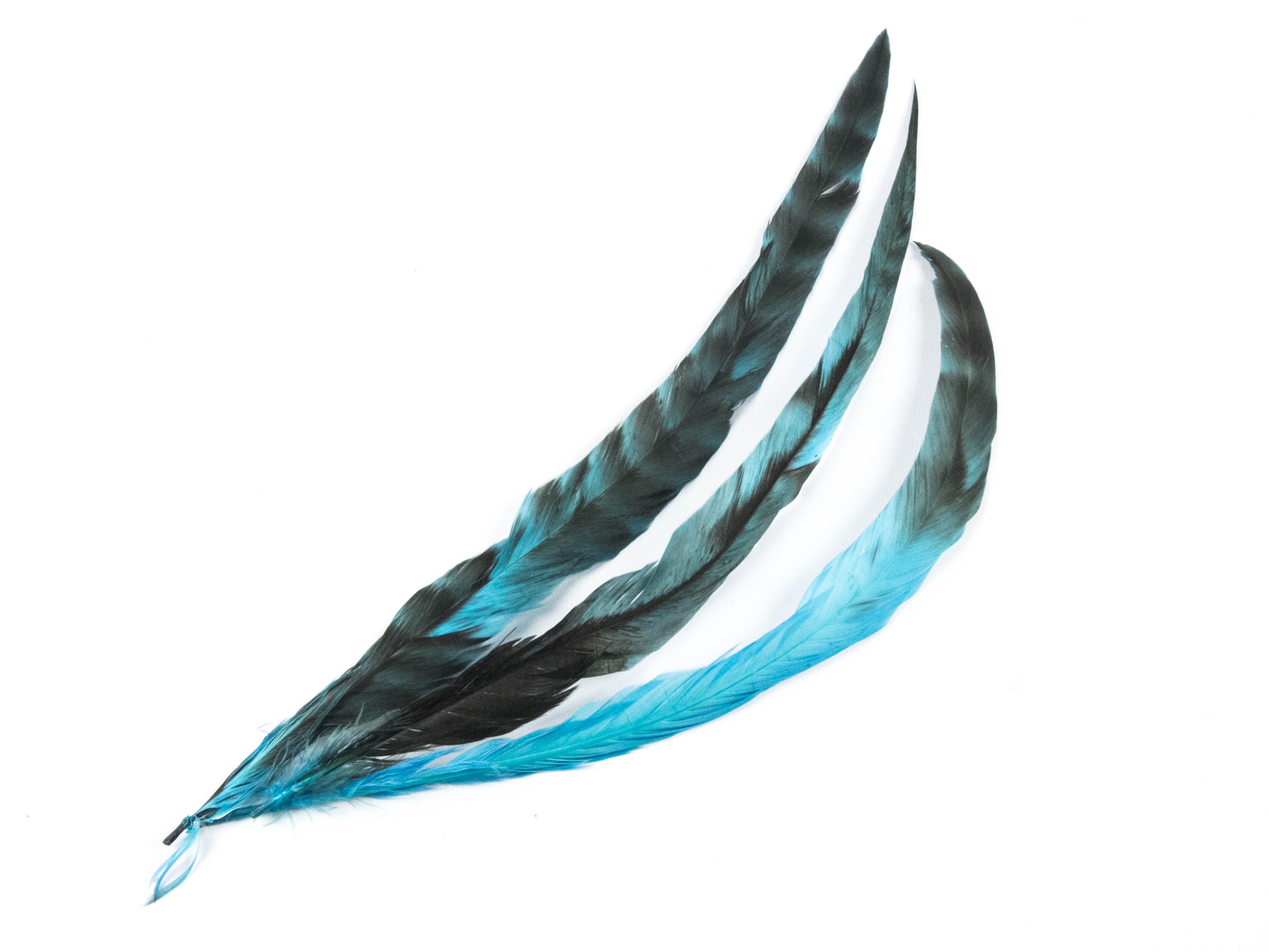 Long Chinchilla Coque Fringe - Dancewear colours