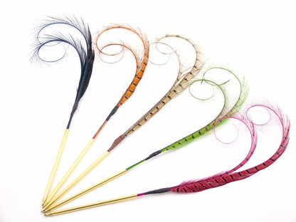 Curled and Burnt Pheasant Feather Pens (Pack of 10)