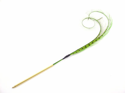 Curled and Burnt Pheasant Feather Pens (Pack of 10)