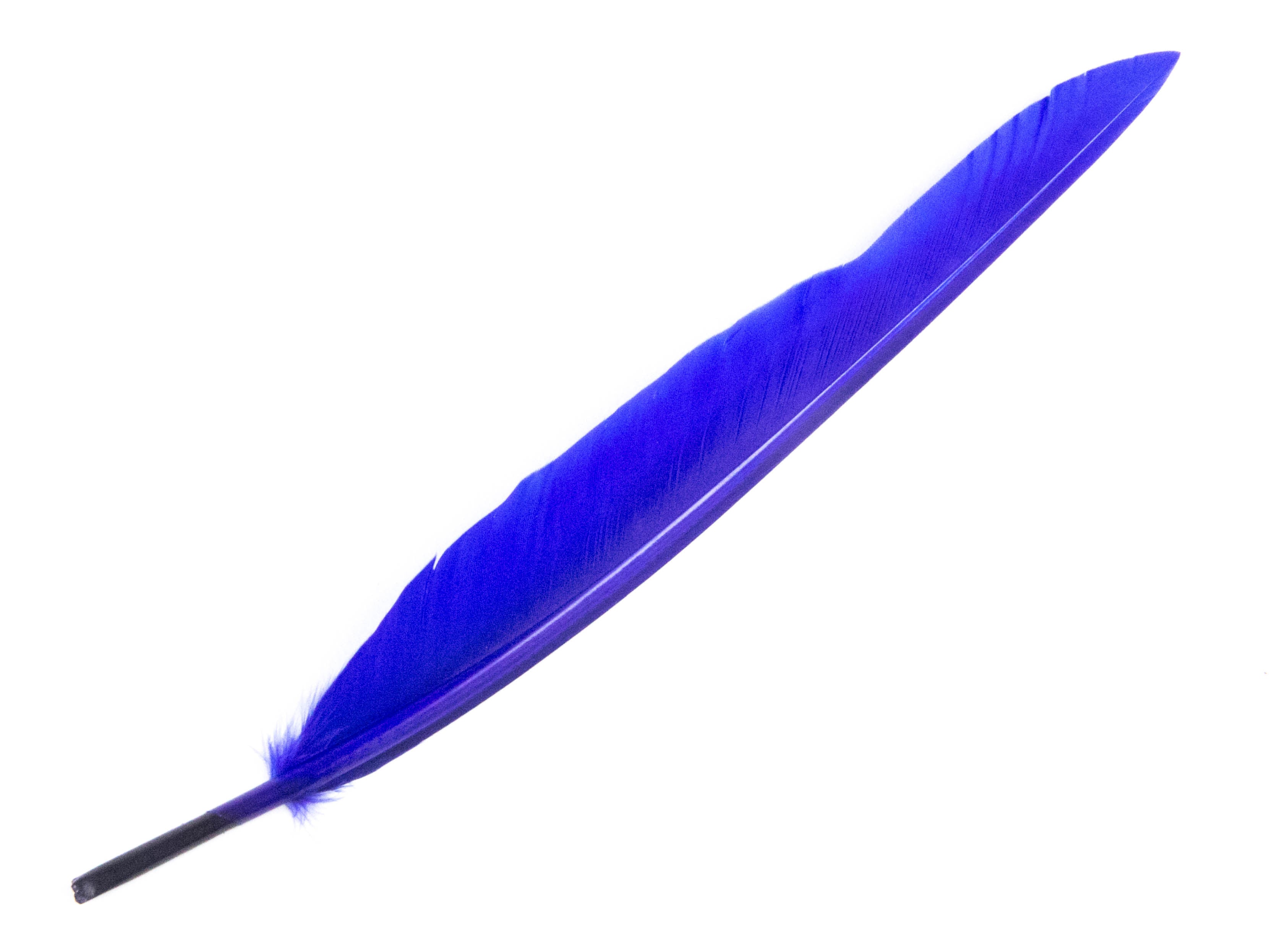 Duck Quill Feather (Pack of 10)