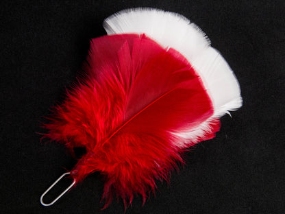 Flat Glengarry Hackle two colours (Pack of 5)