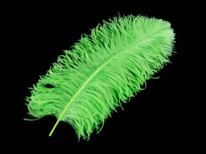 Ostrich Feather Pen